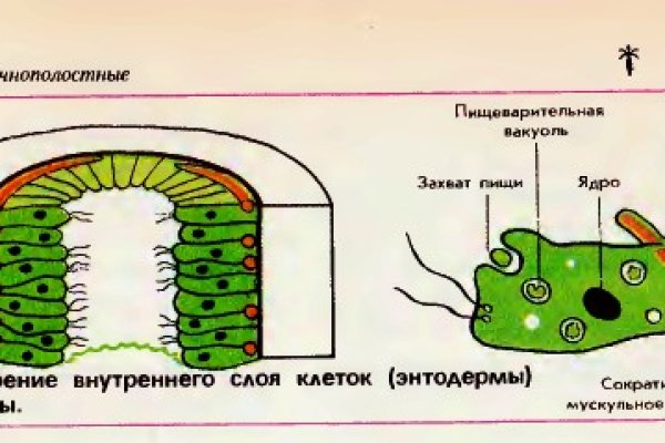 Кракен ссылка на сайт