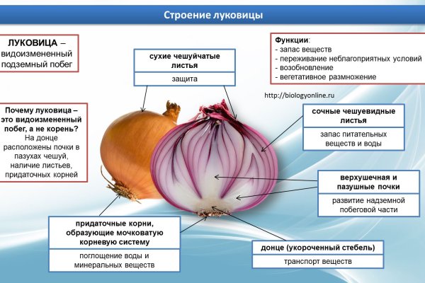 Модератор на кракене
