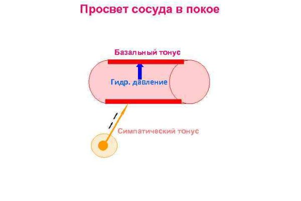 Kraken ссылка сайт kraken clear com