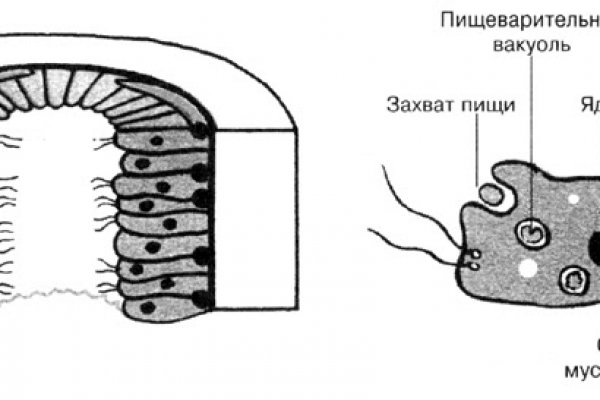Актуальные ссылки на кракен тор