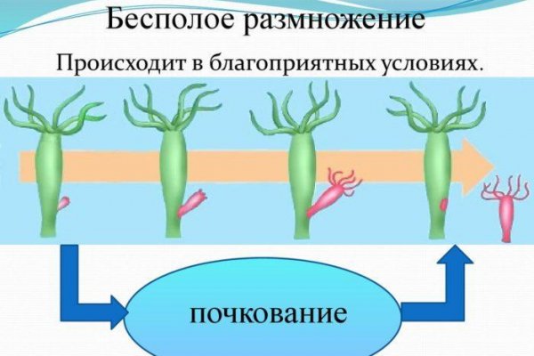 Не пришли деньги на кракен